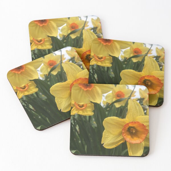 Item preview, Blooming Daffodils  designed and sold by graciemarie03.