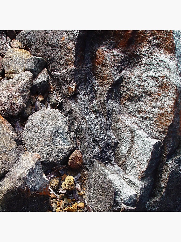 Rock, Tasmania by NataliePirotta
