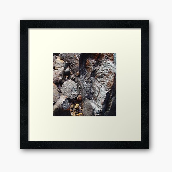 Rock, Tasmania Framed Art Print