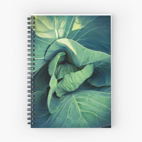 Item preview, Lettuce designed and sold by MBNerd2003.