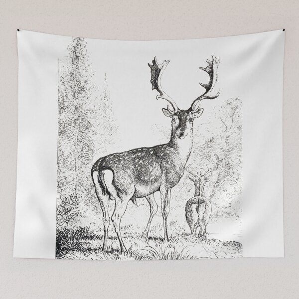 Item preview, Fallow deer - Vintage - drawing designed and sold by jc007.