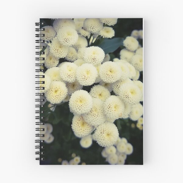 Aperçu de l'œuvre Fleurs éponge créée et vendue par MBNerd2003.