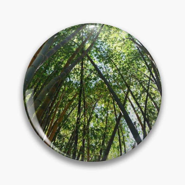 Item preview, tropical forest designed and sold by Click Action.