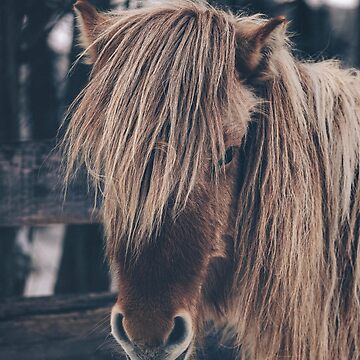 Artwork thumbnail, Horse by Zachlogic