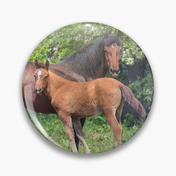 Item preview, Mother horse with little foal designed and sold by Svetlana Korneliuk.