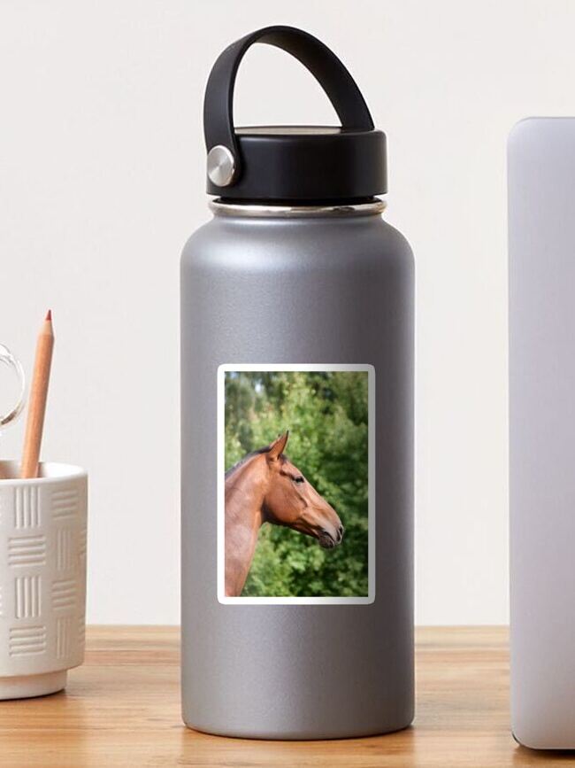 Thumbnail 1 of 3, Sticker, Brown horse designed and sold by Semapemodiba.