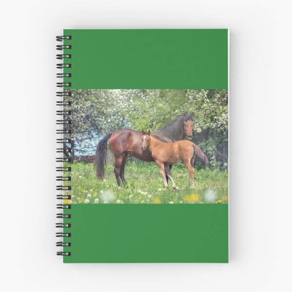 Item preview, Mother horse with little foal designed and sold by Svetlana Korneliuk.