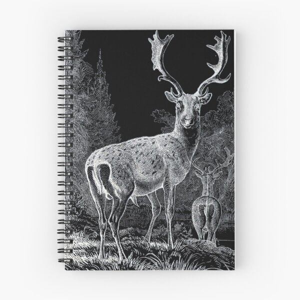 Item preview, Fallow deer - Vintage - drawing - inverted designed and sold by jc007.