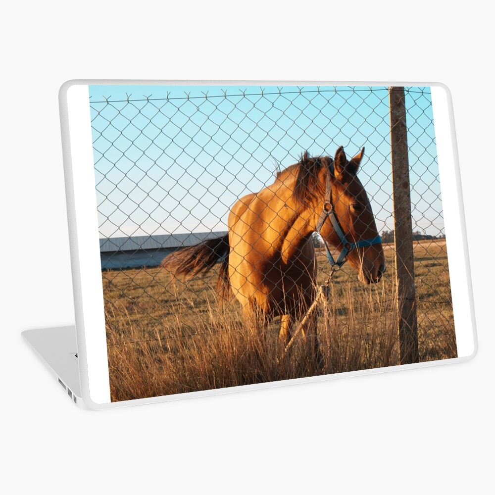 Item preview, Laptop Skin designed and sold by Semapemodiba.