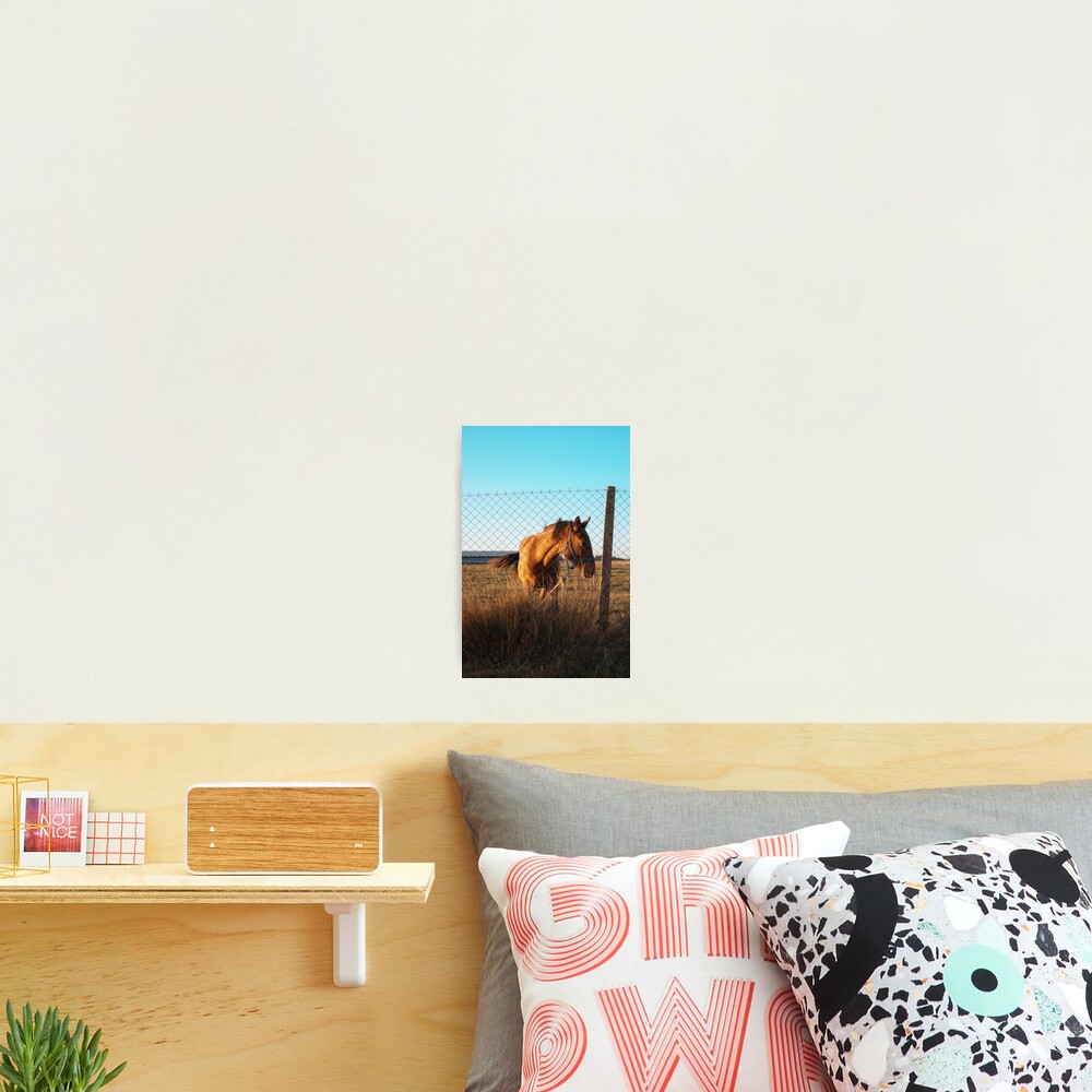 Item preview, Photographic Print designed and sold by Semapemodiba.
