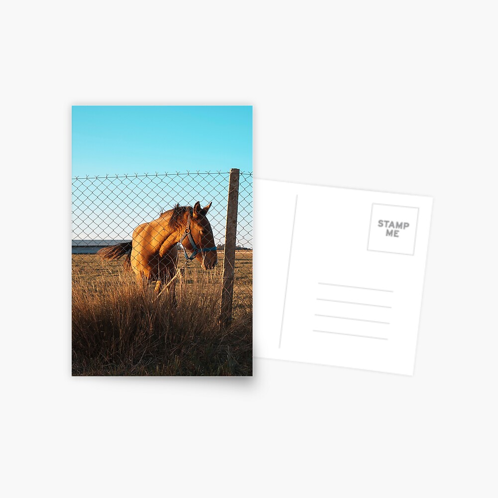 Item preview, Postcard designed and sold by Semapemodiba.