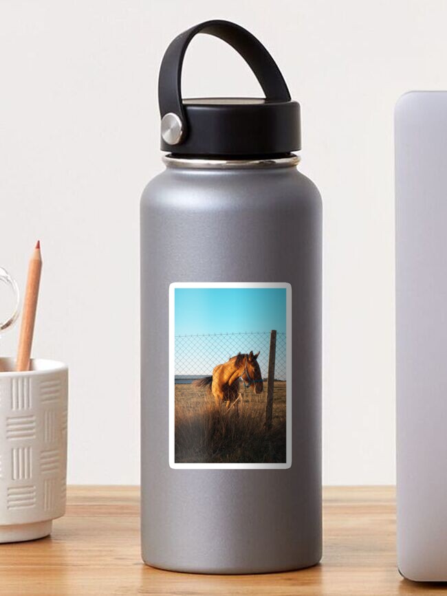 Thumbnail 1 of 3, Sticker, Adorable horse designed and sold by Semapemodiba.