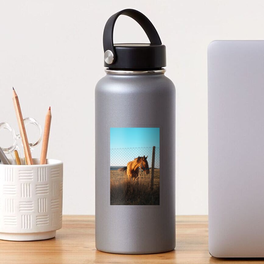 Item preview, Transparent Sticker designed and sold by Semapemodiba.