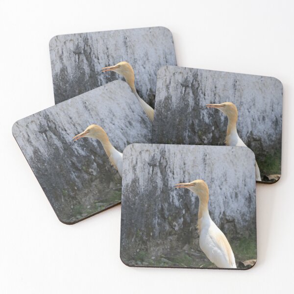 Item preview, Bird is da Word designed and sold by Naz-unedited.