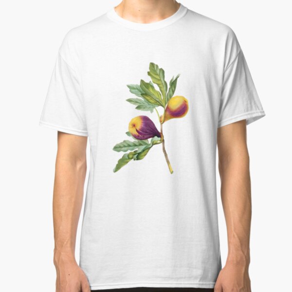 Vintage Botanical Print, Fig by Redoute Classic T-Shirt