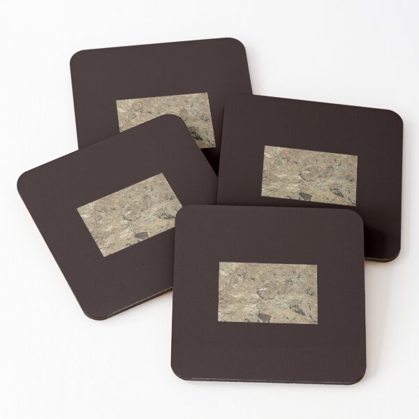 Item preview, Badwater Basin in Death Valley, California. Sea level mark on the rock. designed and sold by Evartdesign.