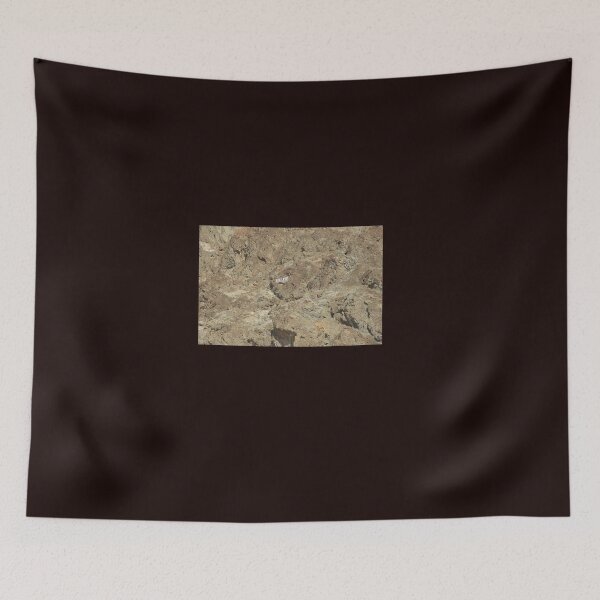 Item preview, Badwater Basin in Death Valley, California. Sea level mark on the rock. designed and sold by Evartdesign.