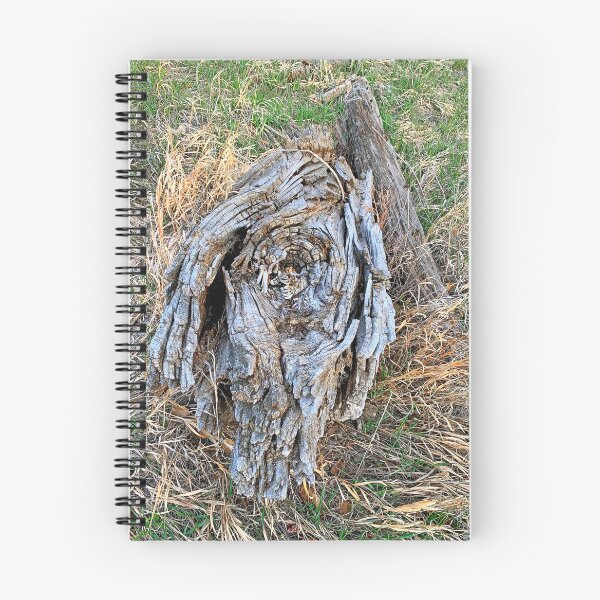 Item preview, Cherry Creek Trail Early Spring 2021 Study 2  designed and sold by Robert Meyers-Lussier.