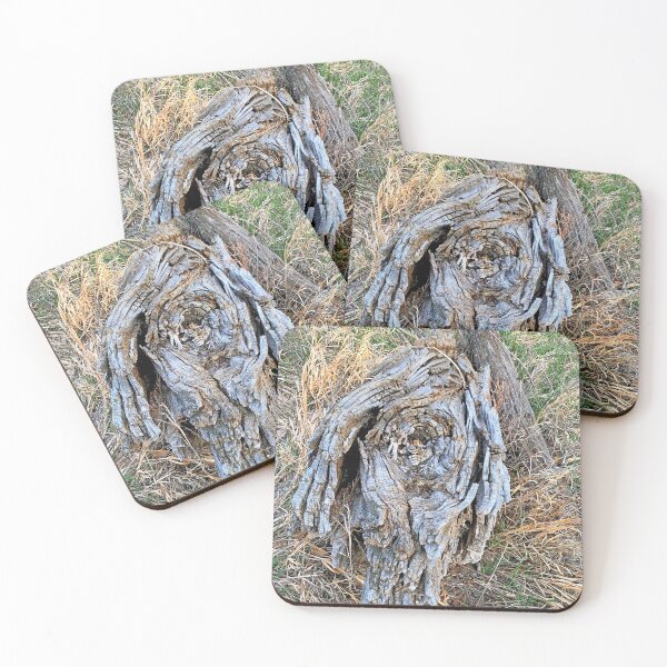 Item preview, Cherry Creek Trail Early Spring 2021 Study 2  designed and sold by Robert Meyers-Lussier.