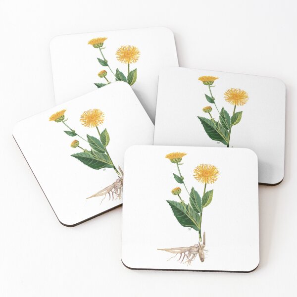Item preview, Elecampane Herb designed and sold by Joyful Roots.