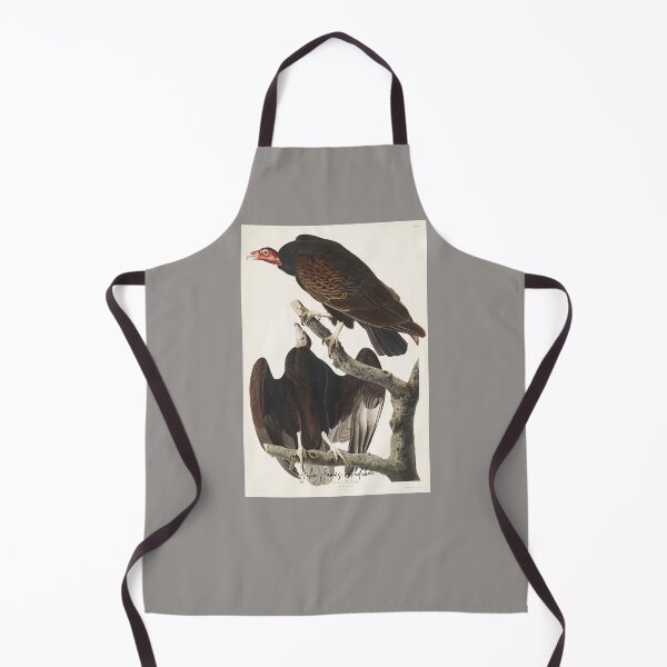 Aperçu de l'œuvre John James Audubon Vultures Design Illustration Vintage créée et vendue par EarthArtDesigns.