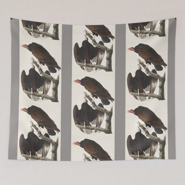 Item preview, John James Audubon Vultures Vintage Illustration Design designed and sold by EarthArtDesigns.