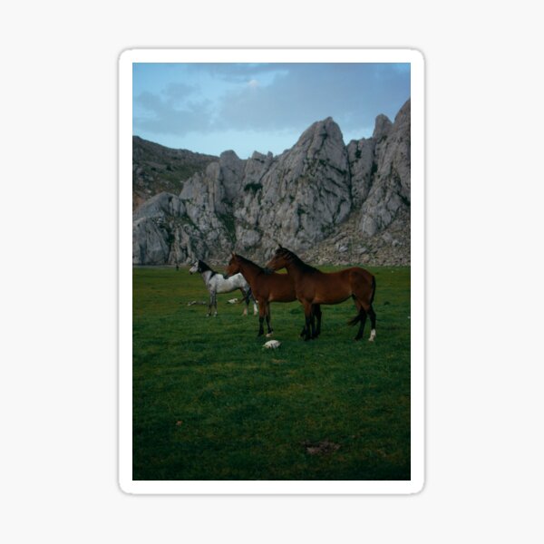 Horse day Sticker