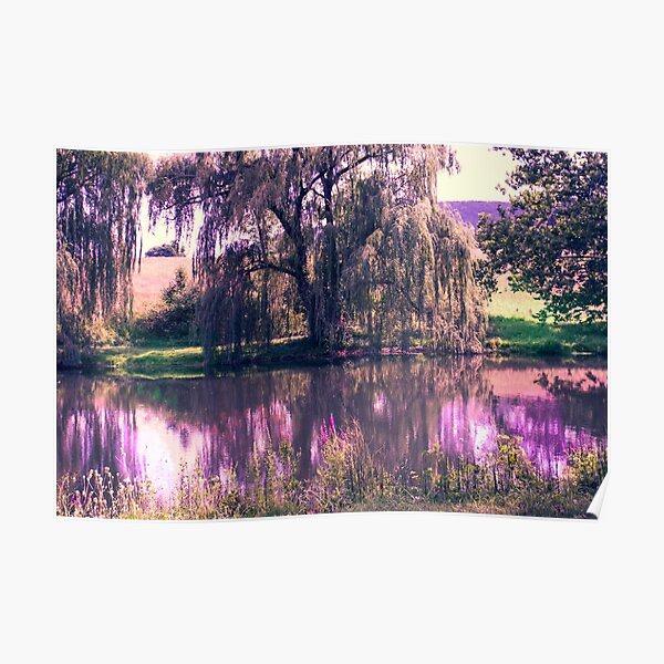 Willows on the Lake Poster