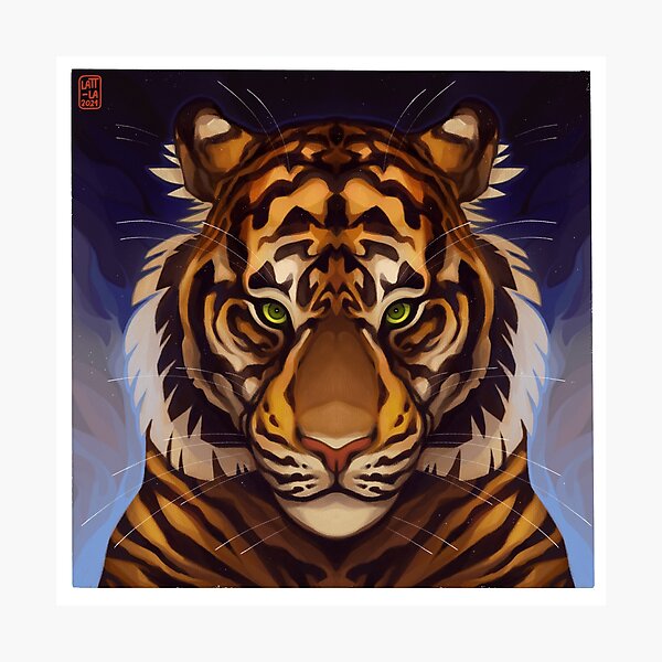 Eyes from beyond Photographic Print