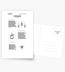 Silver Jewelry in Jaipur Postcards