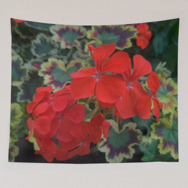 Item preview, Geranium (Pelargonium) Coral Flowers  designed and sold by LifeSimpliCity.