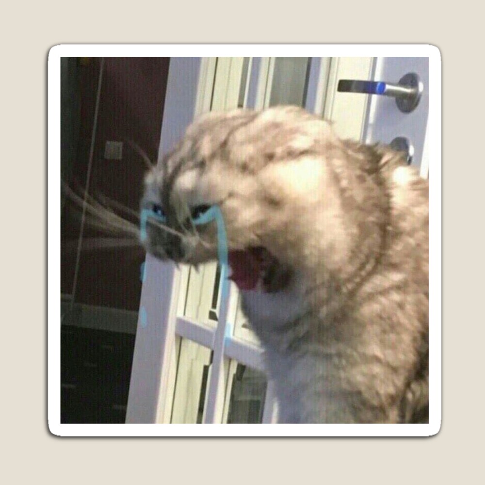 crying cat Magnet