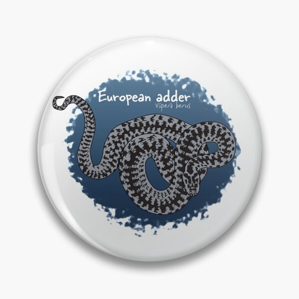 Item preview, European adder Vipera berus designed and sold by CM-Reptiler.