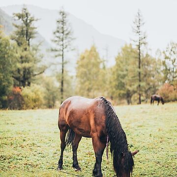 Artwork thumbnail, Unique horse by Zachlogic