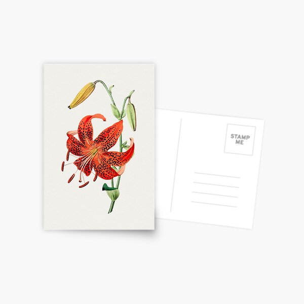 Item preview, Red Lily designed and sold by Fairies Flower  Garden.