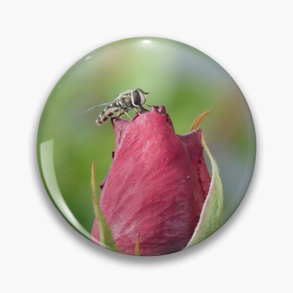 Item preview, Bee on a Rose designed and sold by HHImagery.