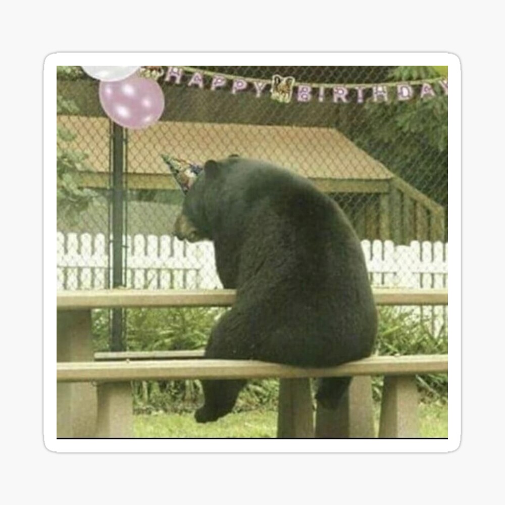 sad birthday bear