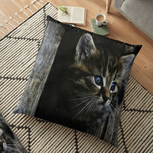 Chat Pillows Cushions Redbubble