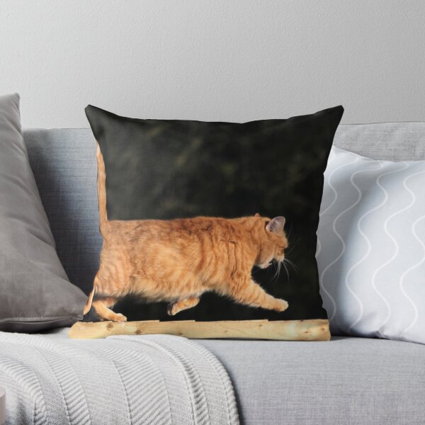 On a mission Throw Pillow