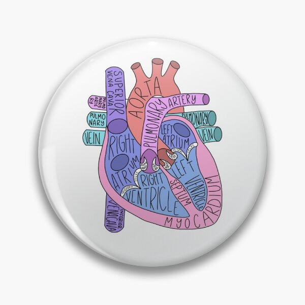 Item preview, Human anatomy of the heart  designed and sold by MeggyShay11.
