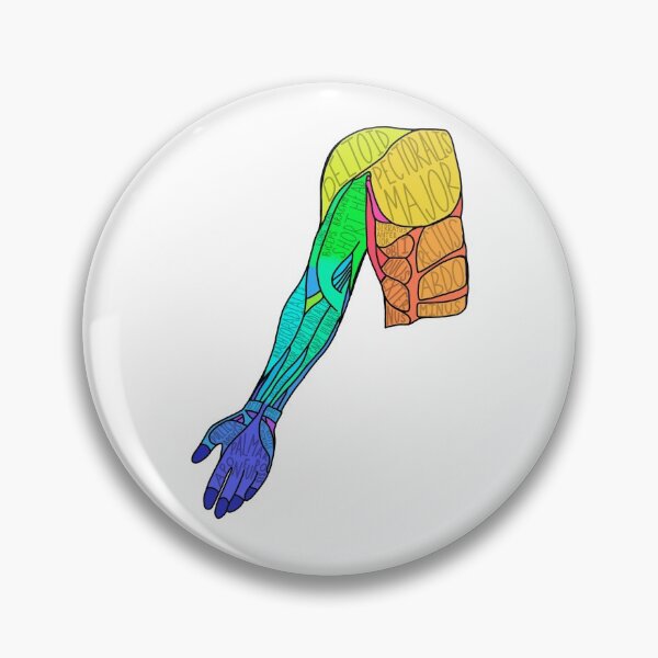 Item preview, Muscles of the arm designed and sold by MeggyShay11.