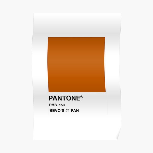 Burnt Orange Pantone Posters Redbubble