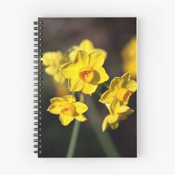 Item preview, Jonquils Are Dancing designed and sold by Joy Watson - Natural Light Photography .