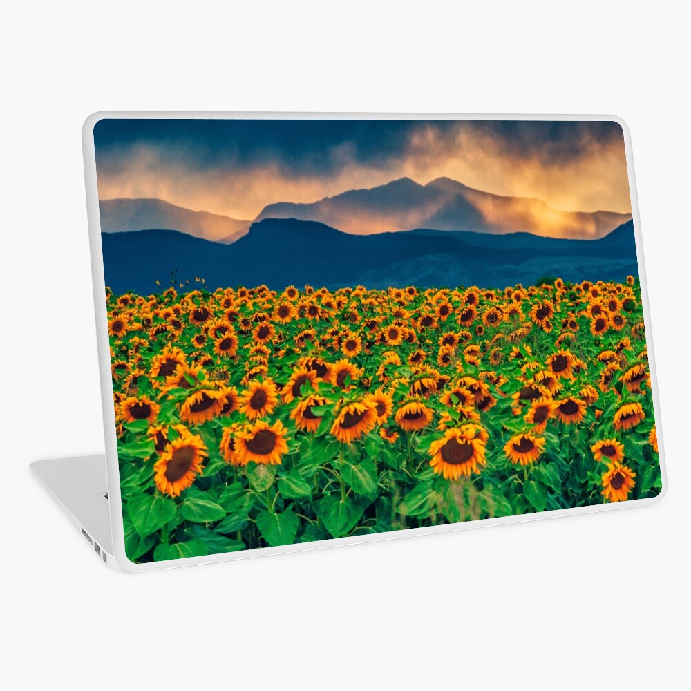 Item preview, Laptop Skin designed and sold by nikongreg.