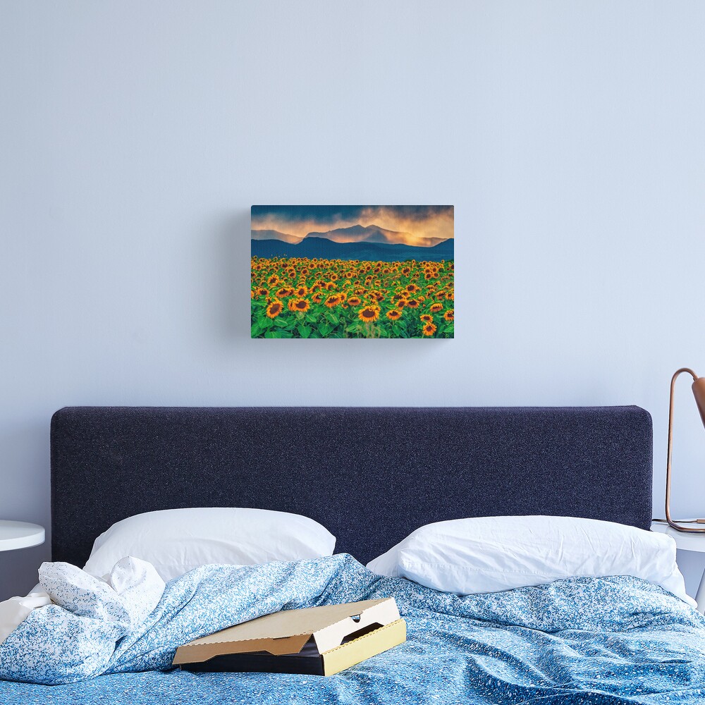Sunflower Storm Canvas Print