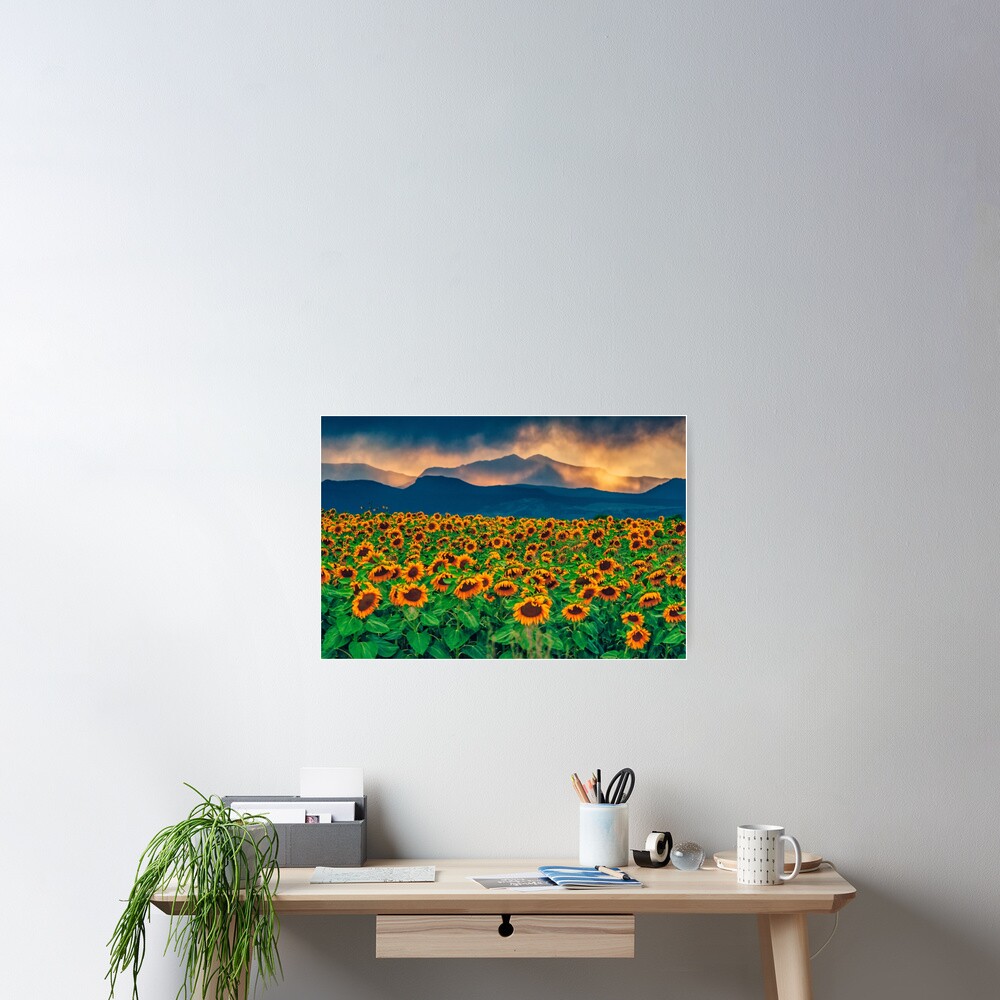 Item preview, Poster designed and sold by nikongreg.
