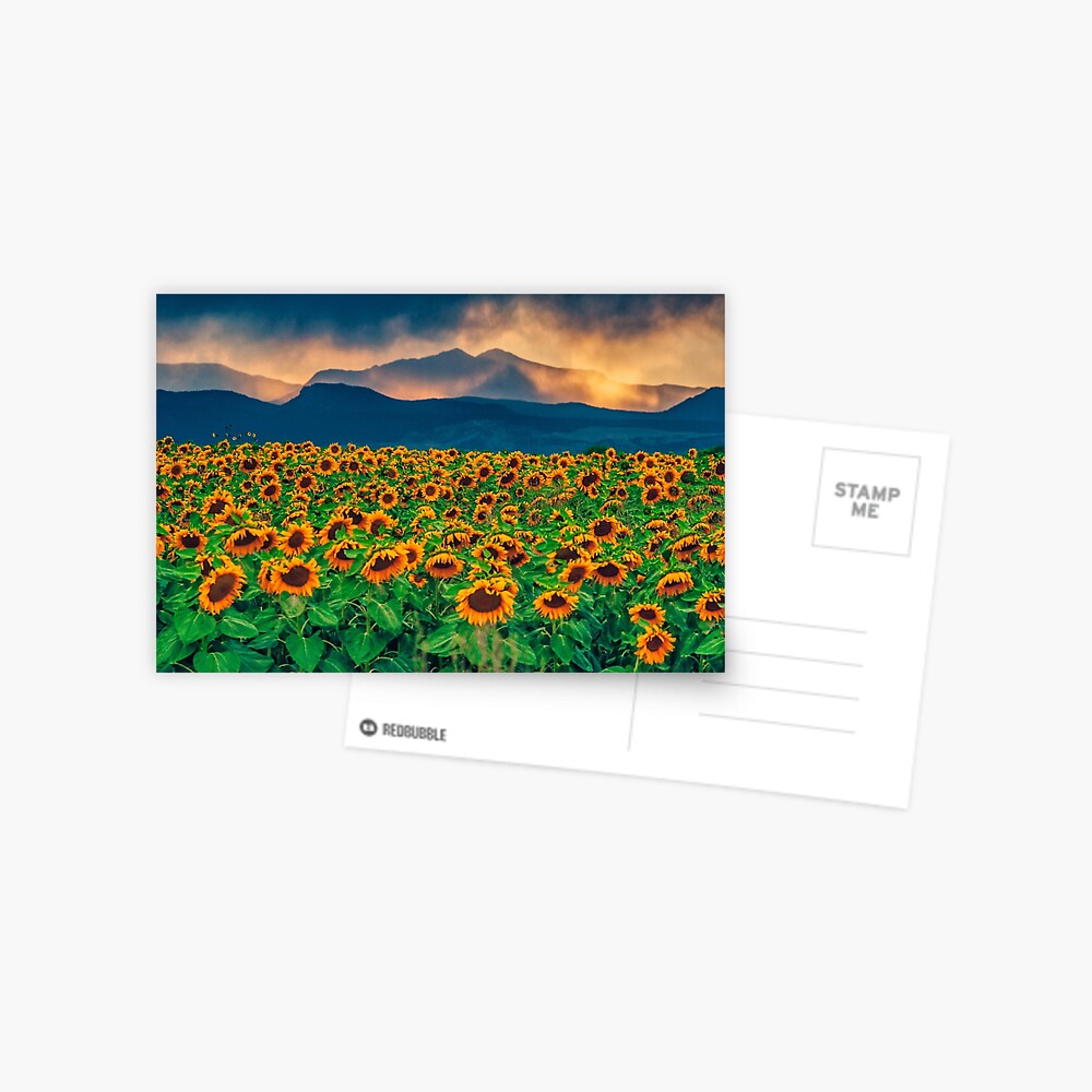 Item preview, Postcard designed and sold by nikongreg.