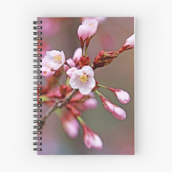 Item preview, Pink Cherry Blossoms designed and sold by Deb Oppermann.