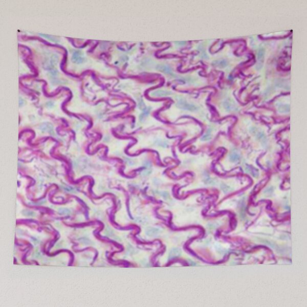 Item preview, Conjunctive tissue designed and sold by DarkiraVClemm.