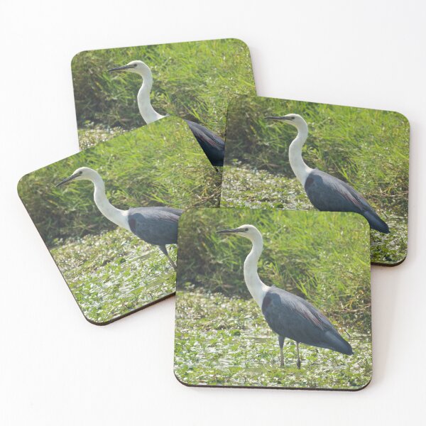 Item preview, White Necked Heron designed and sold by D-GaP.